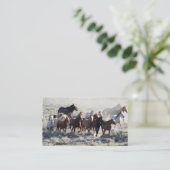 Carte De Visite Chevaux sauvages (Debout devant)