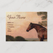 Carte De Visite CHEVAUX / Un Chasseur De Baie Avec Deux Espagnols  (Devant)