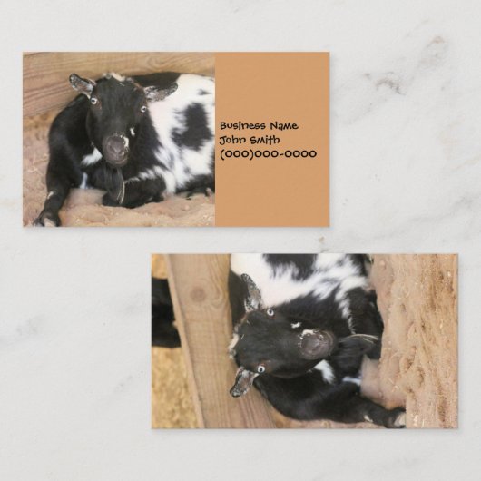 Carte De Visite Chèvre (Devant / Derrière)