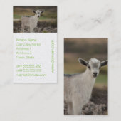 Carte De Visite Chèvre adorable d'enfant (Devant / Derrière)