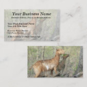 Carte De Visite Chèvres au travail (Devant / Derrière)