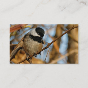 Carte De Visite Chickadee Songbird, Joli Espérant
