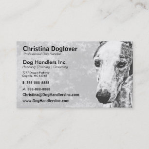 Carte De Visite Chien adorable de whippet