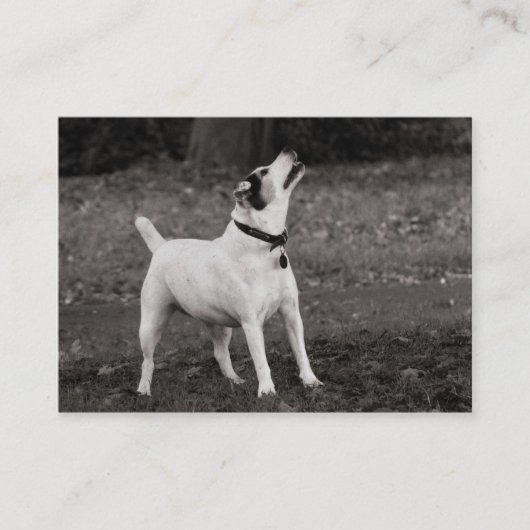 Carte De Visite Chien Agog (Devant)