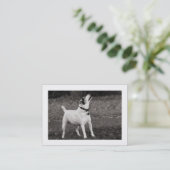 Carte De Visite Chien Agog (frontière) (Debout devant)