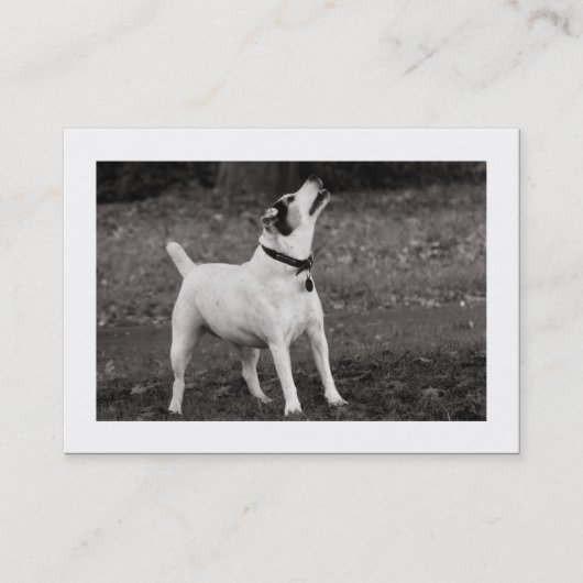 Carte De Visite Chien Agog (frontière) (Devant)