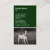 Carte De Visite Chien Agog - Vert foncé (Dos)