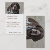 Carte De Visite Chien allemand d'indicateur aux cheveux courts (Devant / Derrière)