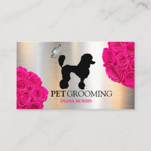 Carte De Visite Chien Animal Compagnon Logo Clinique Vétérinaire T