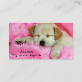 Carte De Visite Chien assis (Dos)