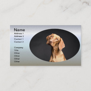 Carte De Visite Chien Beagle Brown animal
