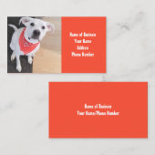 Carte De Visite Chien blanc mignon portant l'écaille orange (Devant / Derrière)