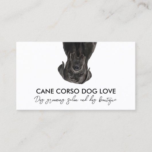 Carte De Visite Chien Cane Corso Noir (Devant)