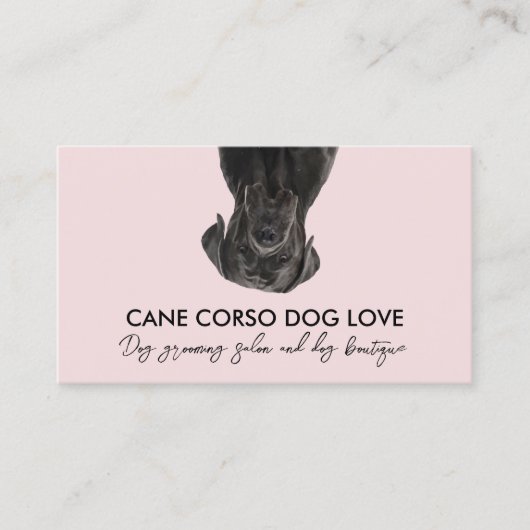Carte De Visite chien Cane Corso noir rose (Devant)
