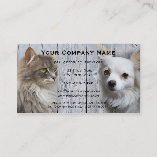 Carte De Visite Chien Chat Animaux de compagnie Grooming Salon Car (Devant)