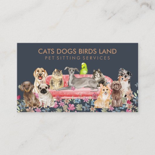 Carte De Visite Chien Chat Bird Hotel Cana Animaux assis (Devant)