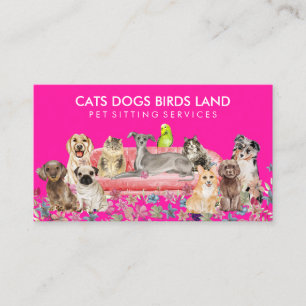 Carte De Visite Chien Chat Bird Hotel Sofa Animaux domestiques Ass