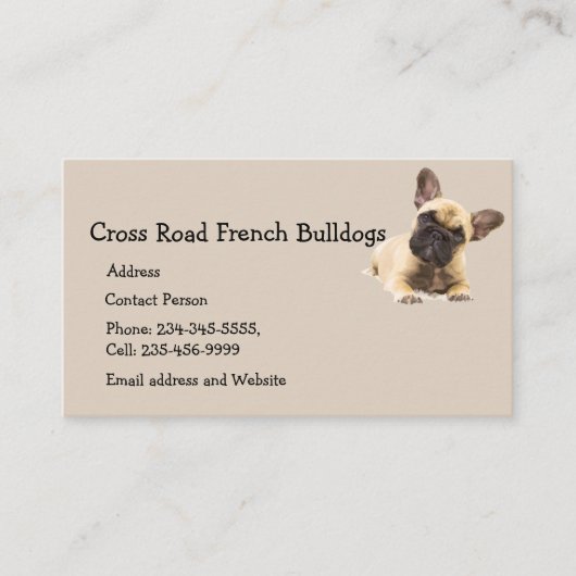 Carte De Visite Chien Chien Chien Chien Animaux Logo Entreprise (Devant)