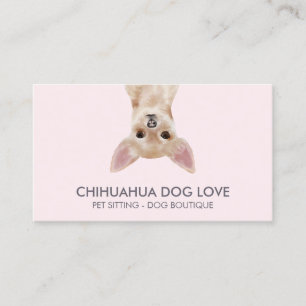 Carte De Visite Chien Chihuahua