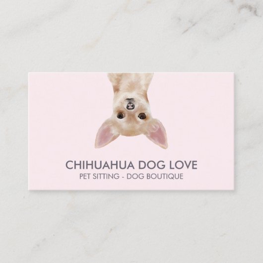 Carte De Visite Chien Chihuahua (Devant)