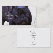 Carte De Visite Chien de bouledogue français (Devant / Derrière)