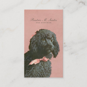 Carte De Visite Chien de caniche vintage toilettant élégant anim