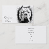Carte De Visite Chien de Corso de canne (Devant / Derrière)