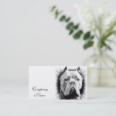 Carte De Visite Chien de Corso de canne (Debout devant)