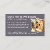 Carte De Visite Chien de Norfolk Terrier (Dos)