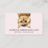 Carte De Visite Chien de Norfolk Terrier (Devant)