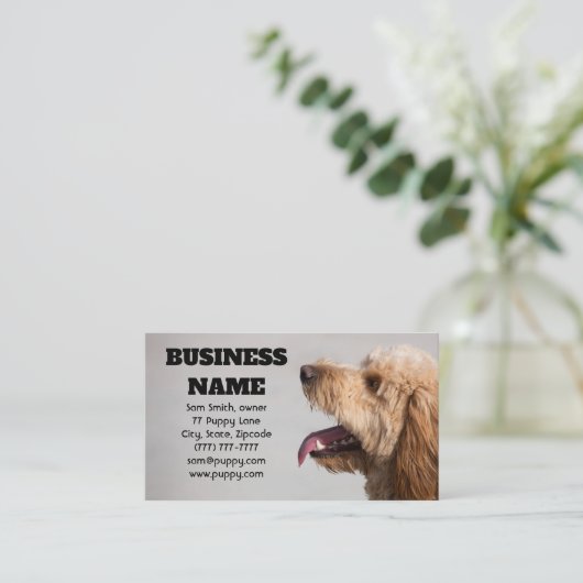 Carte De Visite Chien gris doré (Debout devant)