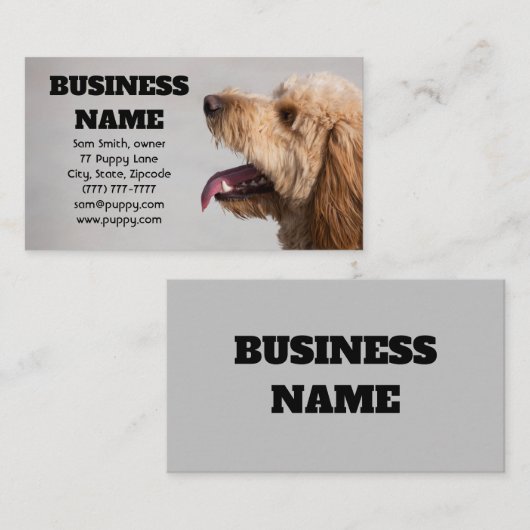 Carte De Visite Chien gris doré (Devant / Derrière)