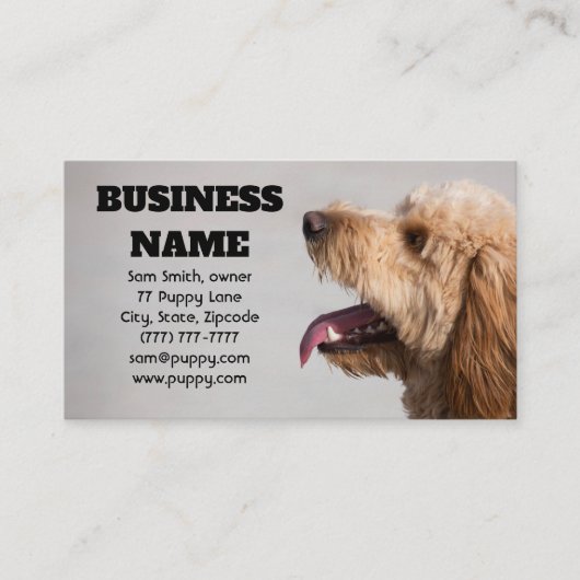 Carte De Visite Chien gris doré (Devant)