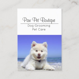 Carte De Visite Chien Groomer Animaux de compagnie marcheur de mar