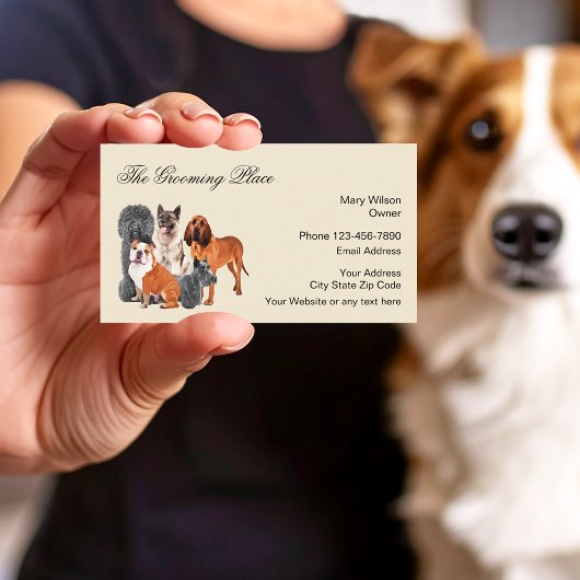 Carte De Visite Chien Grooming Services professionnels