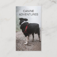 Chien Marcheur Chien Randonnées Et Soins Aux Anima