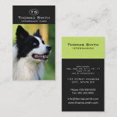 Carte De Visite Chien noir et blanc à la frontière (Devant / Derrière)