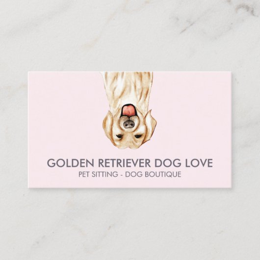 Carte De Visite Chien Retriever Doré (Devant)