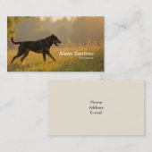 Carte De Visite Chien Rotweiller (Devant / Derrière)