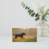 Carte De Visite Chien Rotweiller (Debout devant)