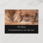 Carte De Visite Chien Sitter Ruby Cavalier King Charles Spaniel (Devant)