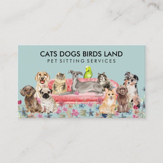 Carte De Visite Chien Vert Doux Chat Oiseau Hôtel Canapé Animaux a (Devant)