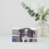 Carte De Visite Chien Walker (Debout devant)