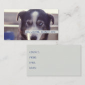 Carte De Visite Chien Walker (Devant / Derrière)