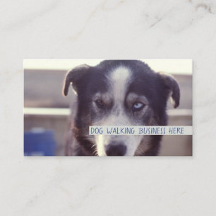 Carte De Visite Chien Walker