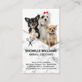 Carte De Visite Chiens assis | Groomer (Devant)