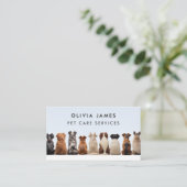 Carte De Visite Chiens assis pour chien marcheur chien embarquer p (Debout devant)