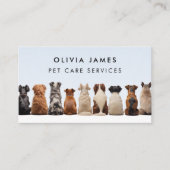 Carte De Visite Chiens assis pour chien marcheur chien embarquer p (Devant)