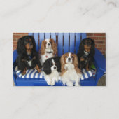 Carte De Visite Chiens cavaliers de délivrance sur le banc (Dos)