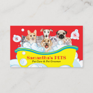 Carte De Visite Chiens Chats Spa Sitter Groom PetCare Bain orange